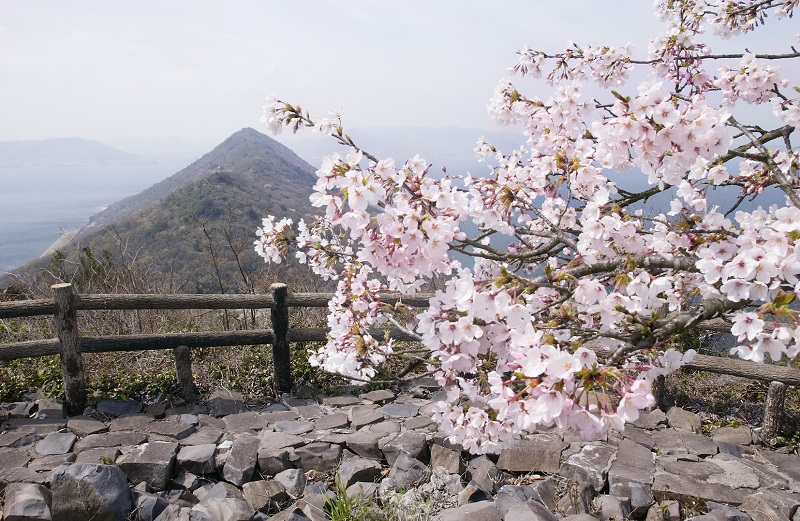 女木島・小豆島：世界が選ぶ2020年に訪れたい旅行先「香川県」魅力を総まとめ