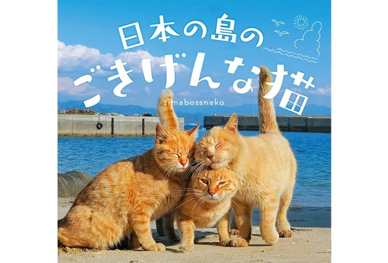 インスタグラムで話題の「島猫」たちの写真集『日本の島のごきげんな猫』発売