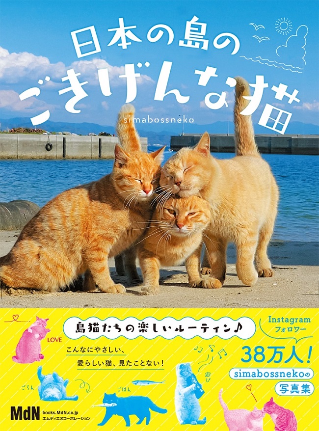 島猫_simabossneko『日本の島のごきげんな猫』