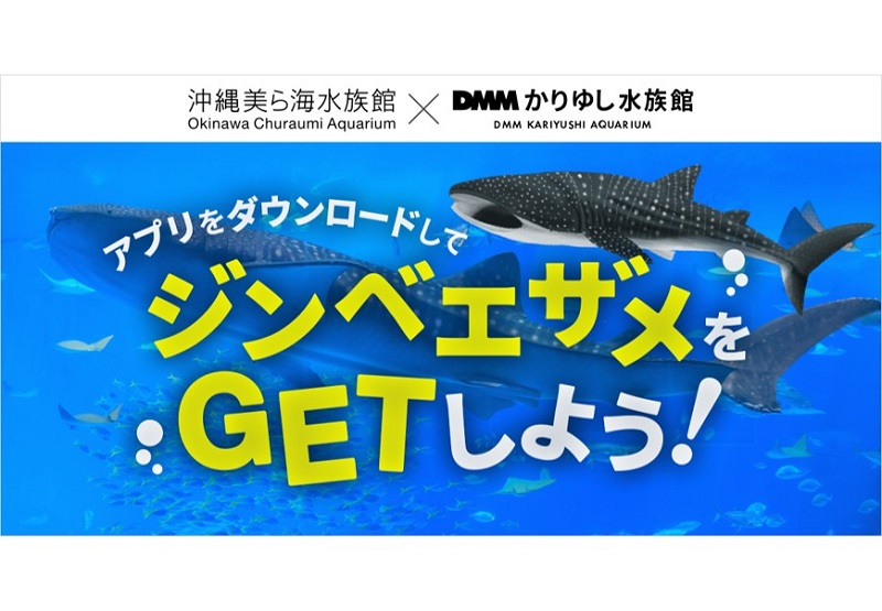 ジンベエザメをGET！沖縄美ら海水族館 × DMMかりゆし水族館、コラボキャンペーン開催