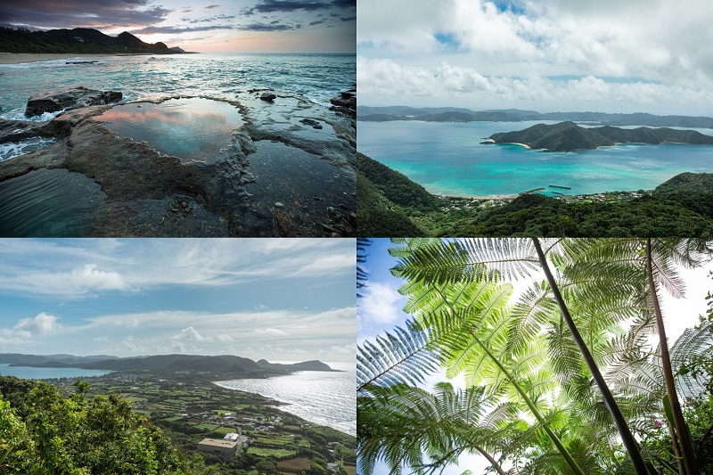 世界自然遺産の島「奄美大島」にある「龍郷町」で体験する“心の糸をほどいてくれる旅”