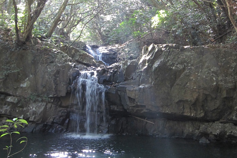 【男淵女淵の滝】種子島の森の中にある神秘的な雰囲気漂う2連の滝