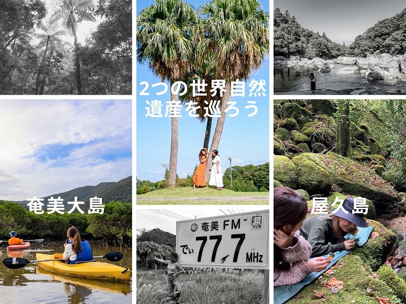 奄美大島と屋久島を周遊！鹿児島県の2つの世界自然遺産をご紹介