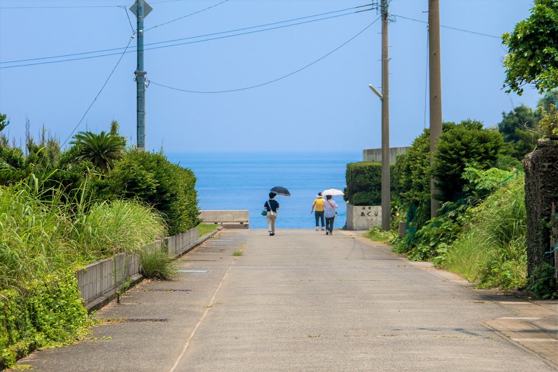 【口永良部島】鹿児島県屋久島町の火山島は青い海に浮かぶ“緑のひょうたん島”