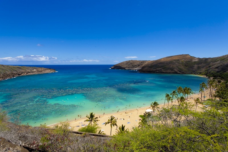 【ハナウマ湾自然保護区】ハワイ・オアフ島の人気シュノーケリングスポット