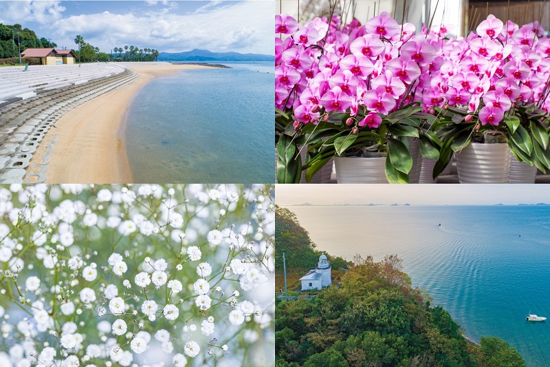 【戸馳島】こころを満たす、熊本県「花の島」自然豊かな表情に魅せられる