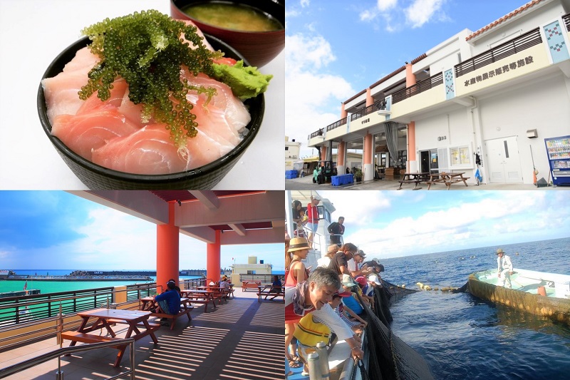 【都屋漁港】沖縄読谷村の親しみやすくグルメやアクティビティも楽しめる港
