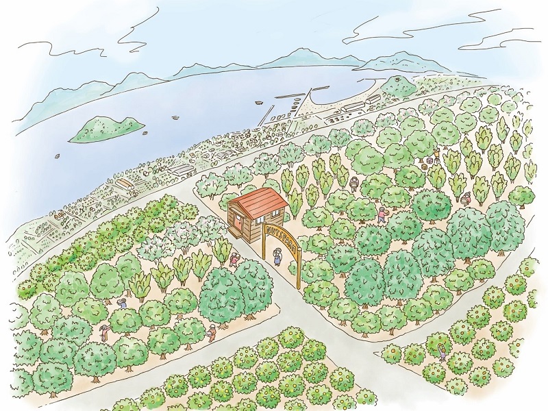 しまなみ海道・生口島に日本初のミックスナッツ農園“しまなみナッツファーム”プロジェクト開始