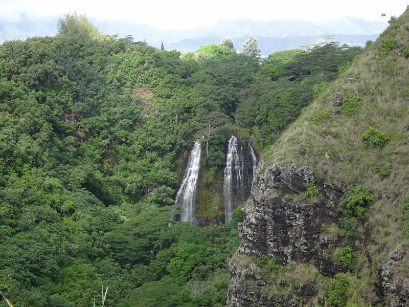 【オパエカア滝】ハワイ・カウアイ島の約20ｍの高さから流れ落ちる二筋の滝