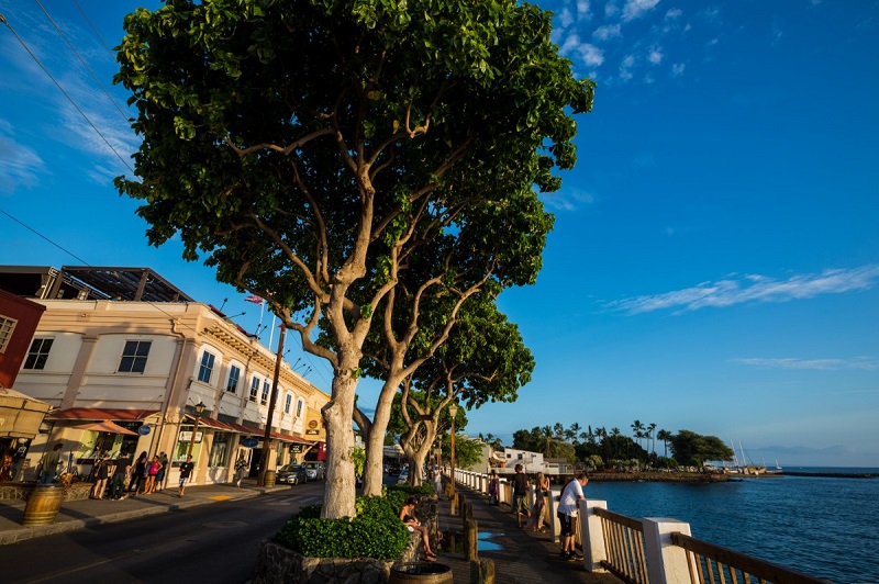 ラハイナ | ハワイ・マウイ島の首都時代の面影を残すノスタルジックな街並み
