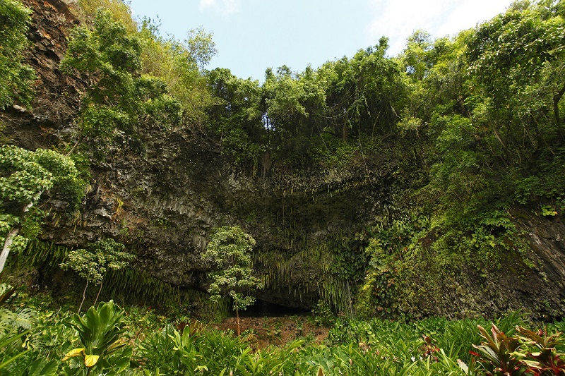 【シダの洞窟】ハワイ・カウアイ島のシダが茂る神秘的な洞窟