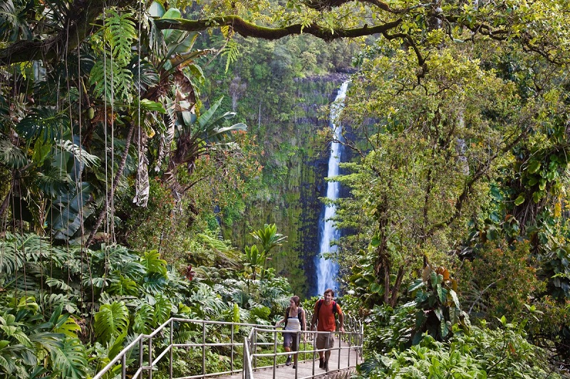 【アカカ滝州立公園】ハワイ島で有名な落差約134mの滝を有する州立公園