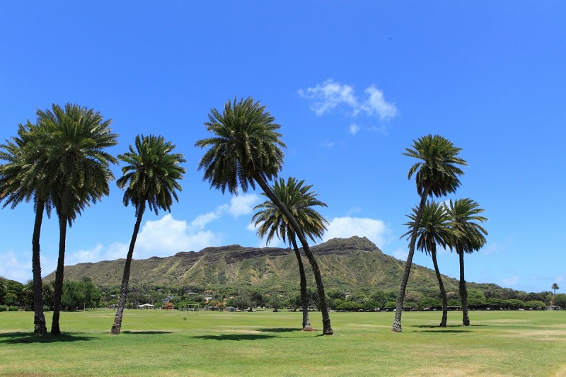【カピオラ二公園】オアフ島のハワイで最も歴史があり、緑あふれる公園