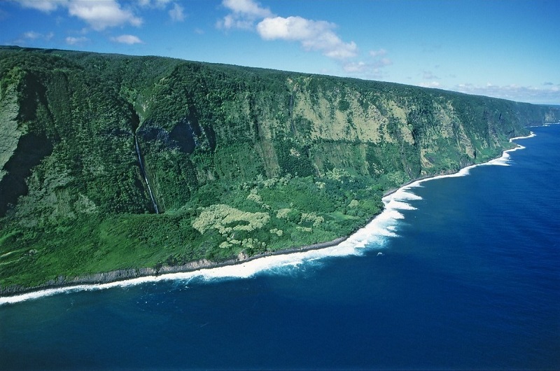 【ハマクア地区】ハワイ島の降水量が多く緑豊かな森林地帯