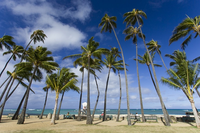 【カイマナ ビーチ】ハワイ・オアフ島の地元の方に大人気のビーチ