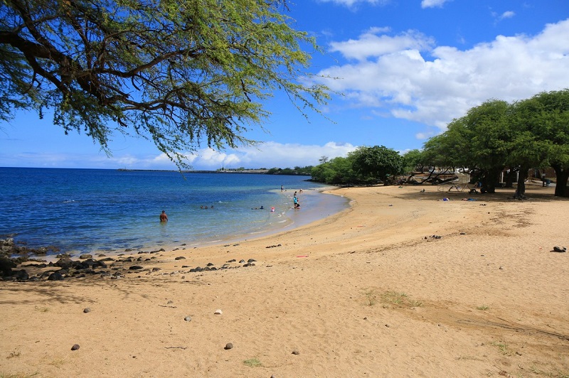 スペンサー ビーチ パーク |  ハワイ島の波が穏やかな美しいビーチ