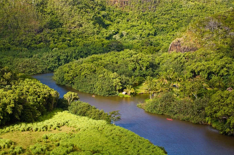 【ワイルア川】ハワイ・カウアイ島の緑豊かな山々の間を穏やかに流れる川
