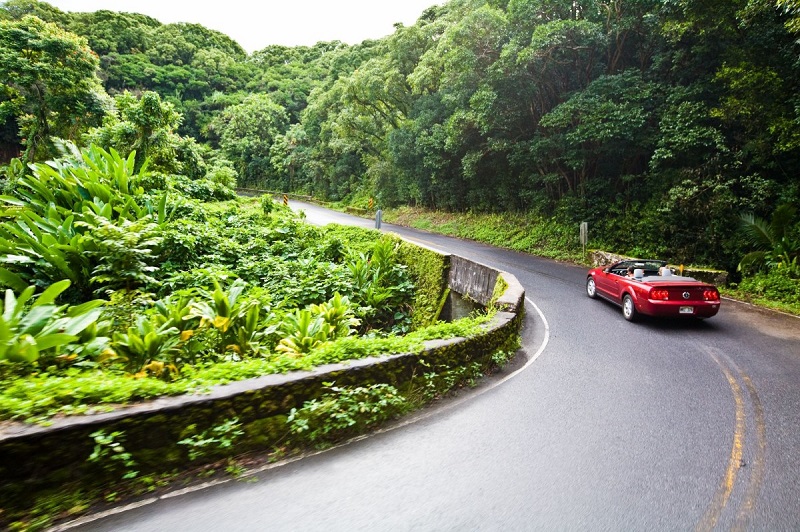 ハナ | マウイ島のハワイでも手つかずの自然が残る数少ない場所のひとつ