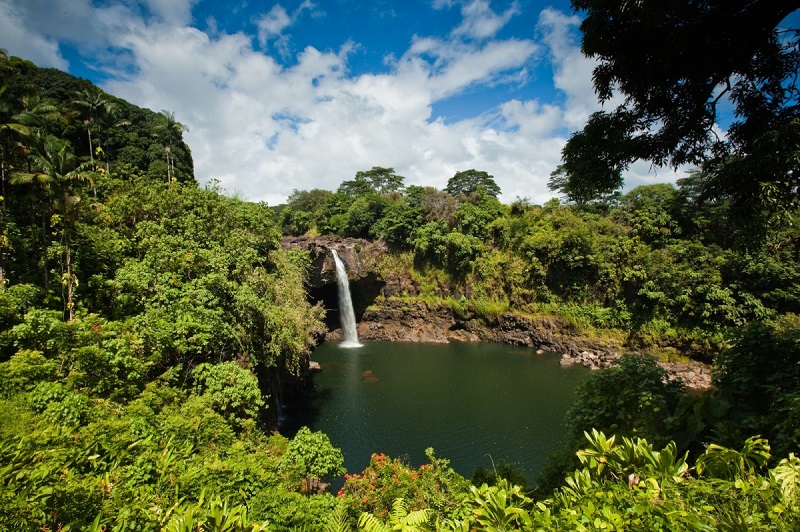 【ワイルク川州立公園】ハワイ島のレインボー滝でも知られる州立公園