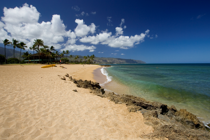 【ハレイワ・アリイ・ビーチパーク】ハワイ・オアフ島のサーファーに人気のスポット