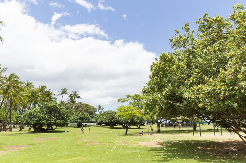 【カラマ・パーク】ハワイ・マウイ島のスポーツを楽しめる広い公園