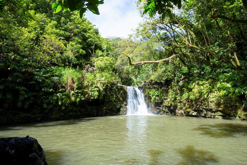 【オヘオ・プール】ハワイ・マウイ島のオヘオ渓谷にある階段状になった泳げる池