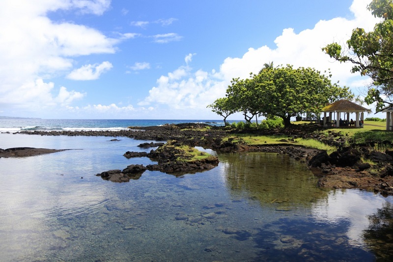 【レレイヴィ・ビーチパーク】ハワイ島にある黒砂のビーチ