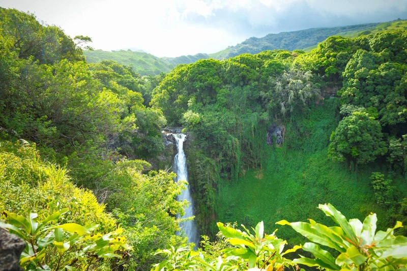 【ピピヴァイ・トレイル】ハワイ・マウイ島のワイモク滝に続くハイキングコース