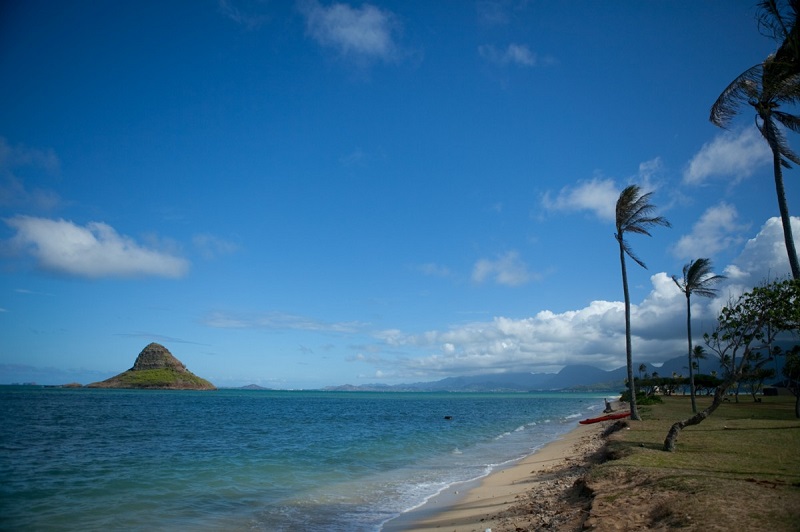 【クアロアリージョナルパーク】ハワイ・オアフ島のファミリーで賑わう公園