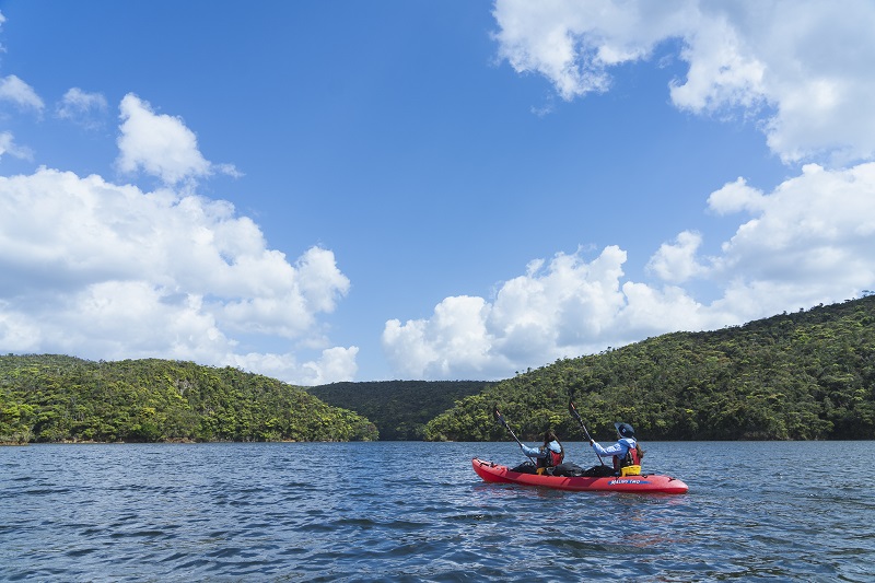 ハレクラニ沖縄、宿泊者限定の新プログラム～やんばるの自然の息吹＆清らかな水界に触れる