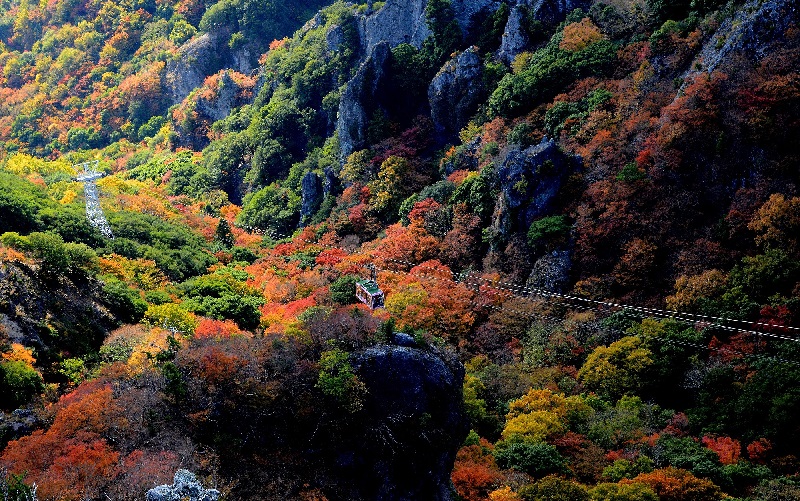 小豆島の秋の風情を楽しんで「寒霞渓で紅葉狩り」お得な旅行プランも販売中