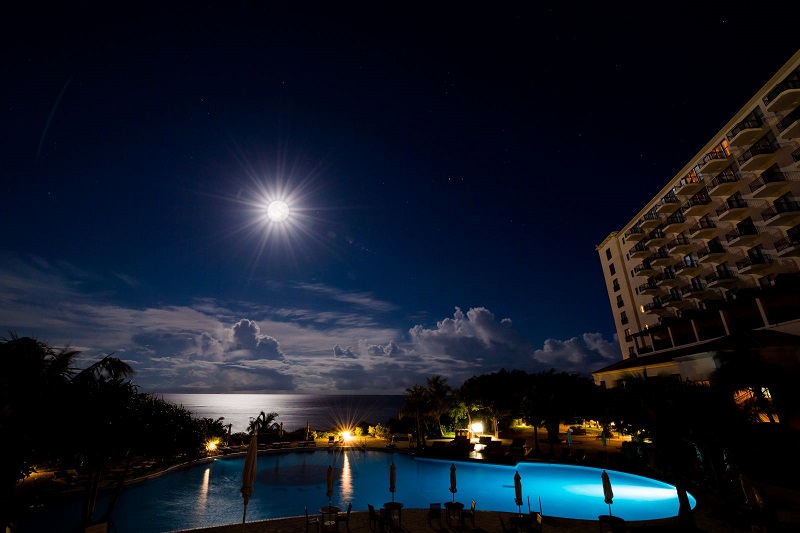 ホテル日航アリビラ、夜行性の海の生き物を観察するナイトリーフトレイル「イジャイ」開催