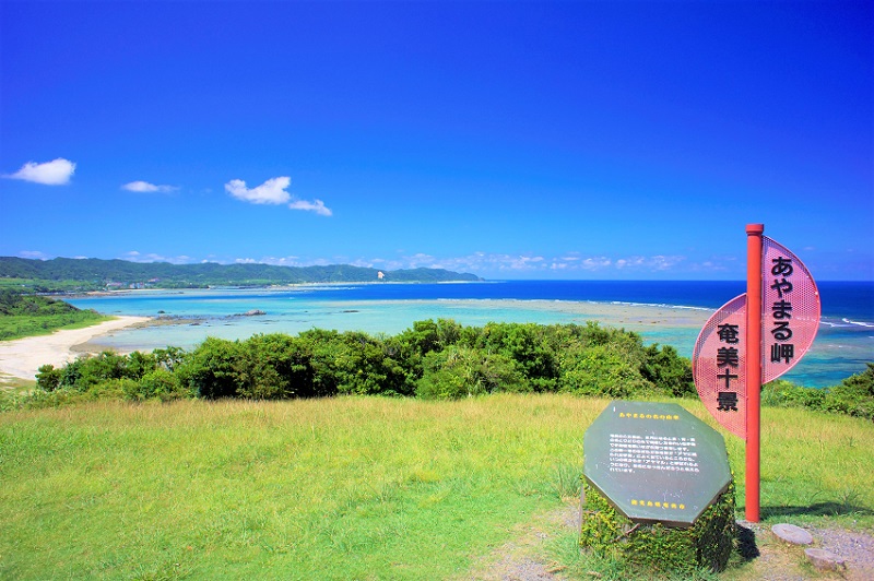 【あやまる岬観光公園】奄美大島のアクティビティ＆絶景スポット