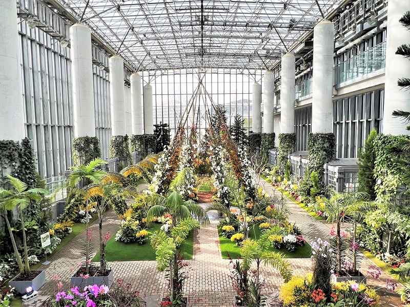 グランドニッコー淡路、日本最大級の温室に蘭があふれる特別展入館券付き宿泊プラン