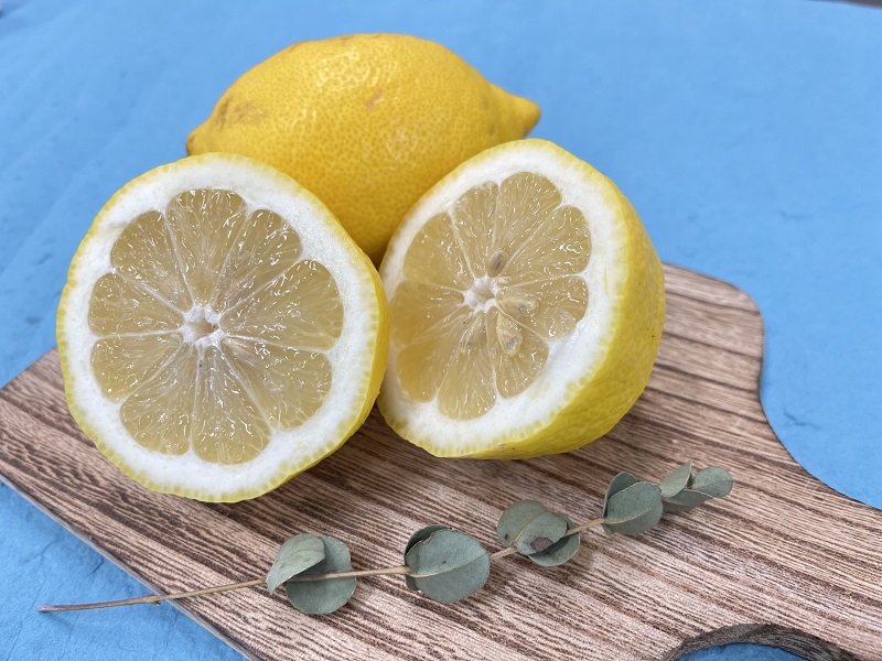 愛媛県松山市の離島で栽培された「興居島レモン」をまつやま農林水産物ブランドに認定