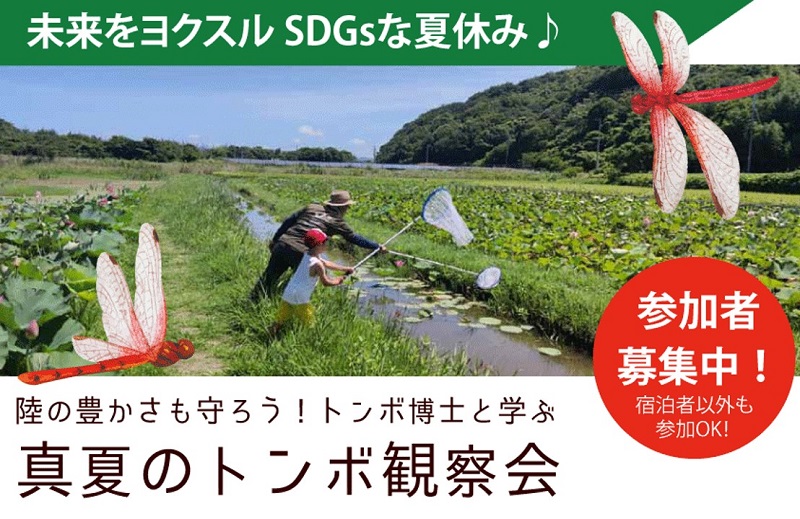 コウノトリが舞い降りる島田島で「真夏のトンボ観察会」3日間限定開催