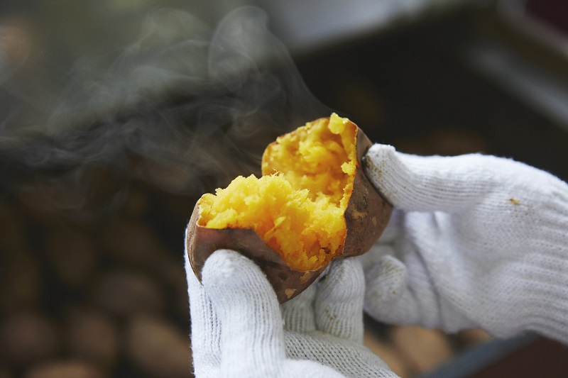 五島列島育ちのさつまいもを使った冷凍焼き芋『ごと焼き ごと芋』2023年収穫分の予約販売開始