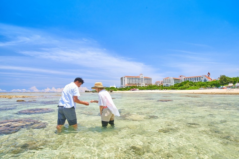 ホテル日航アリビラ、沖縄の自然を楽しむ「サマーシーズンプログラム」