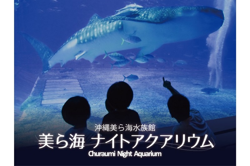沖縄美ら海水族館「美ら海ナイトアクアリウム」～心地よいBGM、夏の夜・水族館で特別な時間を～