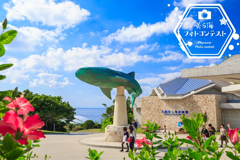 沖縄美ら海水族館「第6回 美ら海フォトコンテスト」～貴方の写真が「水族館オリジナル2025年カレンダー」に！～