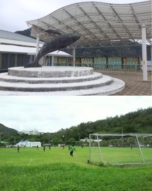 父島_太平洋建設株式会社_島職