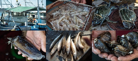 小豆島_「島泊 / 島飯 / 島湯」