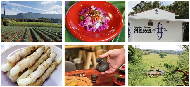 沖縄_「いのちよろこぶ沖縄美食旅」