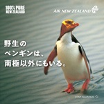 ニュージーランド_ニュージーランド航空