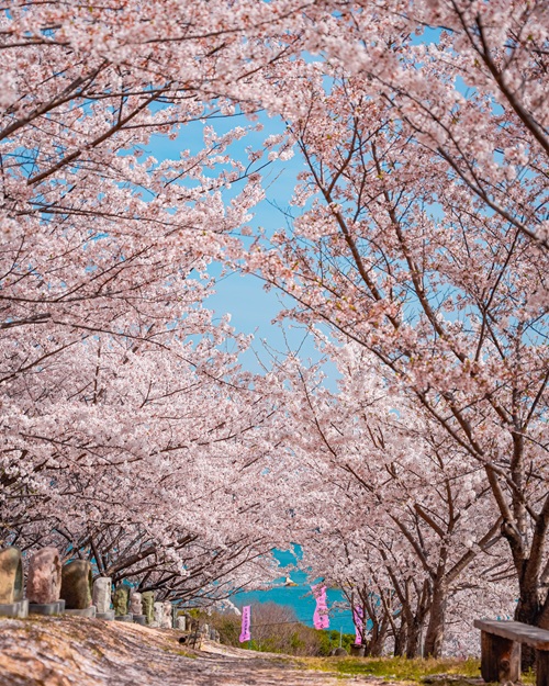 佐木島_道祖神の丘_W02