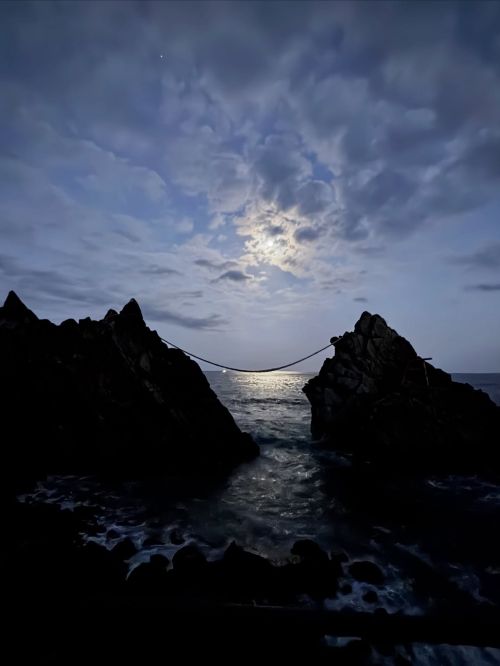 種子島キャンペーン投稿写真