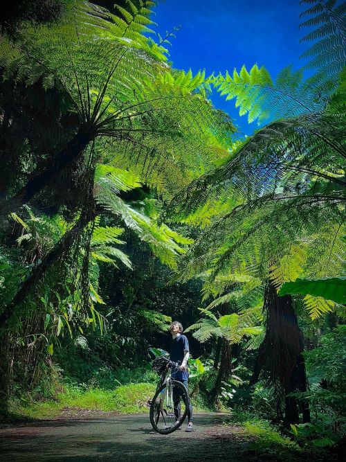 種子島キャンペーン投稿写真