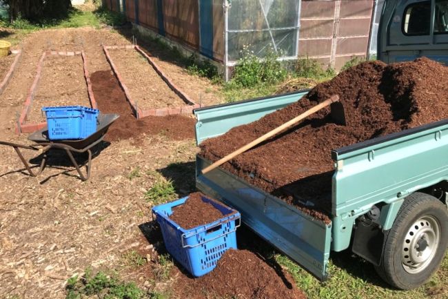 父島_小笠原グリーン株式会社(TWR)_島職