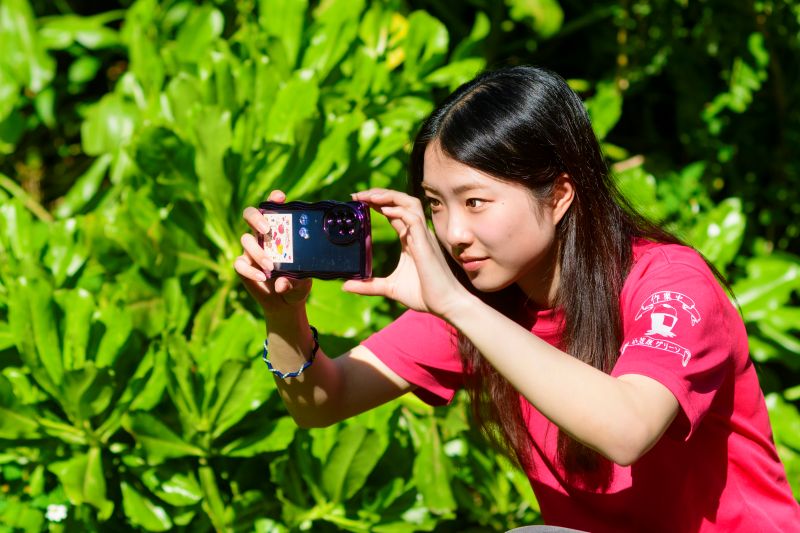 父島 移住｜森を守り価値を生み出す！環境保全活動TWRの専任スタッフを募集