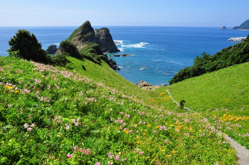 甑島 移住｜未経験者歓迎！絶景の島の観光案内所で地域の魅力創出と情報発信の仕事